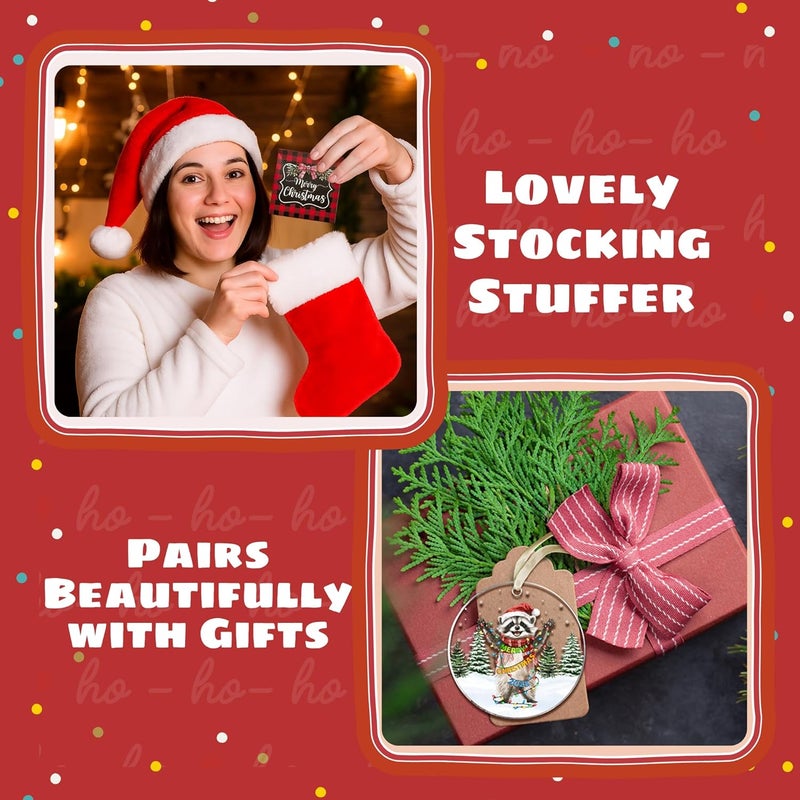 TEEBIM Raccoon Ornament - Raccoon Christmas Ornaments 2025 - Raccoons Gifts for Women Men, Gifts for Raccoons Lovers - Acrylic Animal Ornament for Tree​ - Image 4